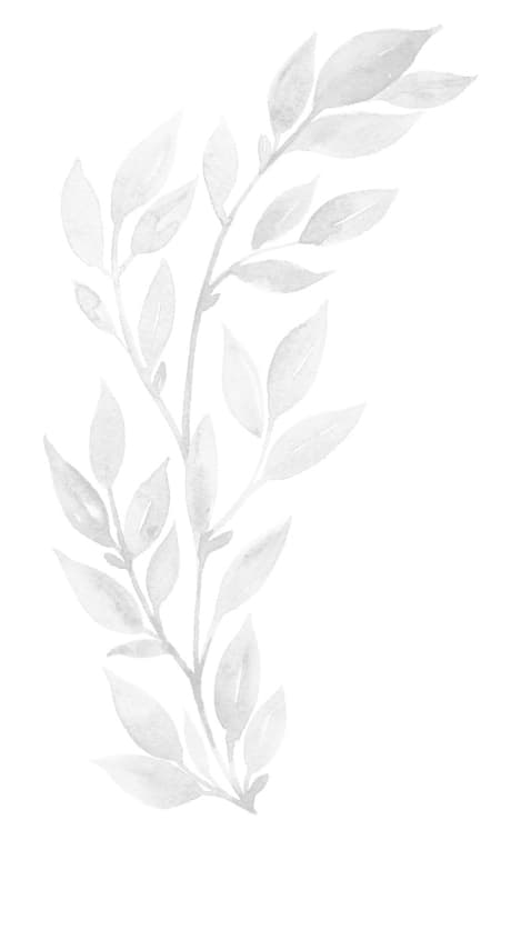 Decorative watermark of a pressed plant