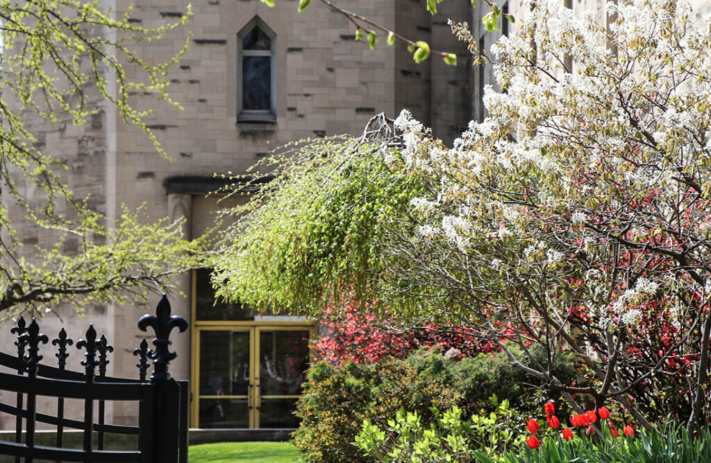 Flowers, bushes, and plants outside a campus building